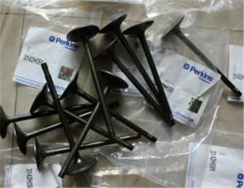 cat挖掘機(jī)柴油發(fā)動機(jī)專業(yè)的銷售維修保養(yǎng)置換配件服務(wù)中心345GC